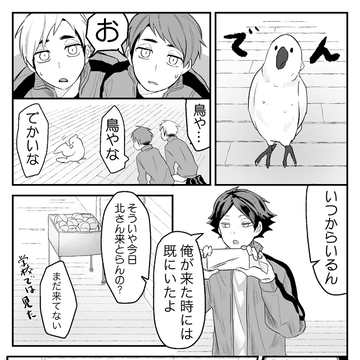 宮兄弟 Pixiv Sketch
