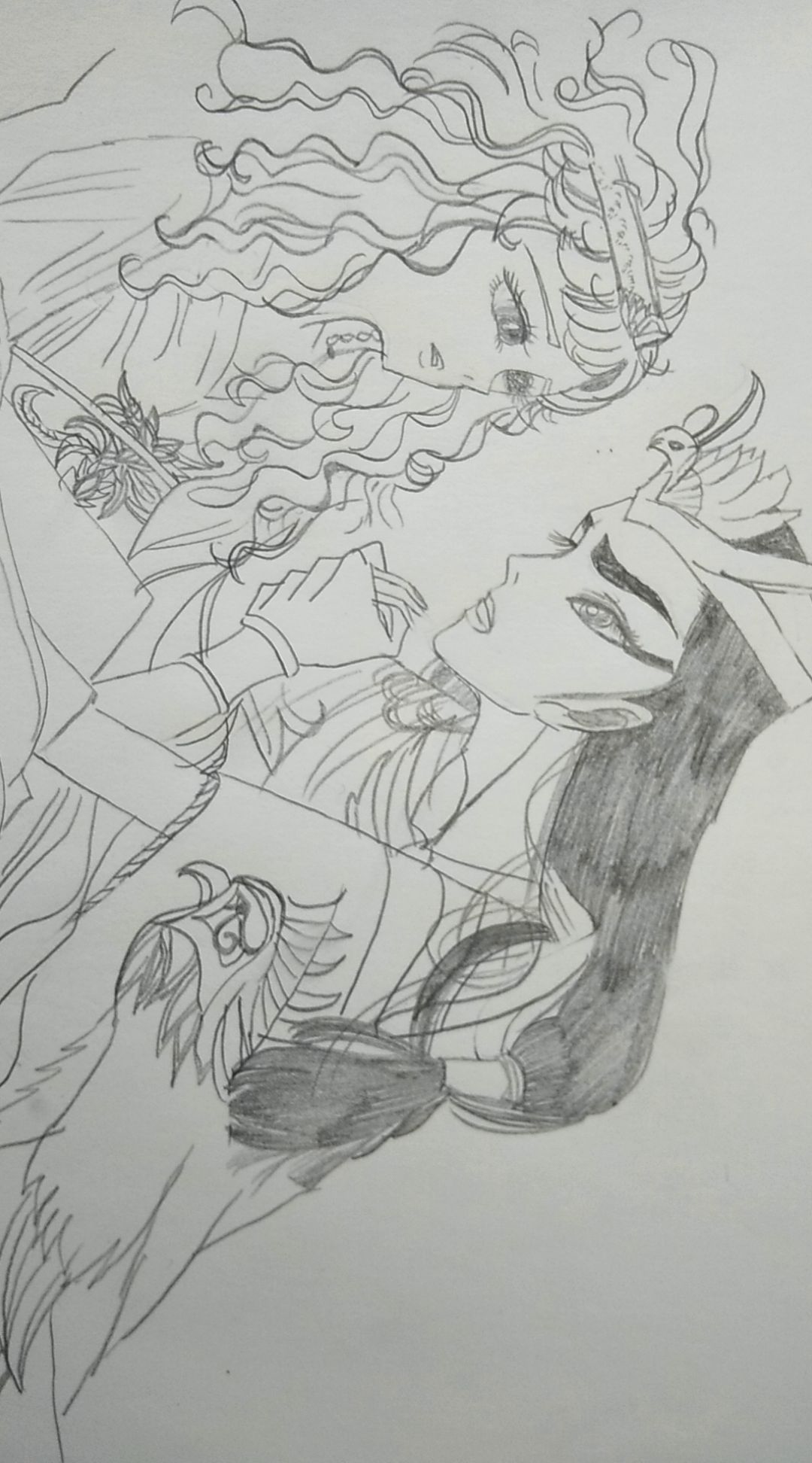 王家の紋章 - pixiv Sketch