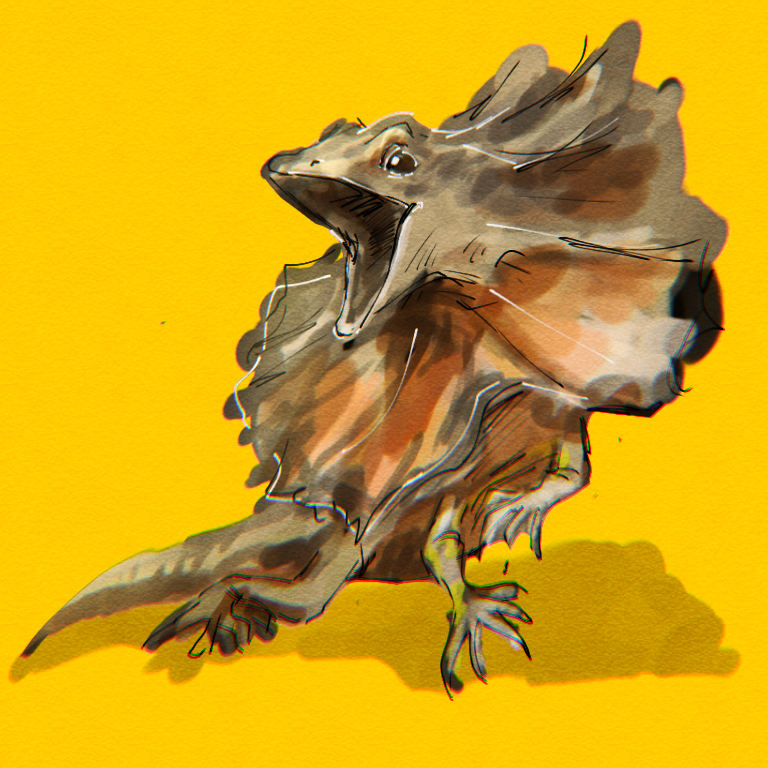 エリマキトカゲ Pixiv Sketch エリマキトカゲ Pixiv Sketch